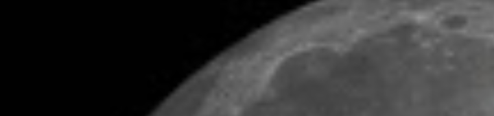 Stony Flavor Desings